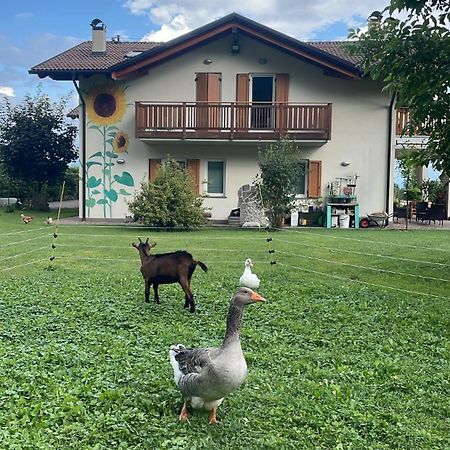 Agriturismo Girasole Fai della Paganella Zewnętrze zdjęcie